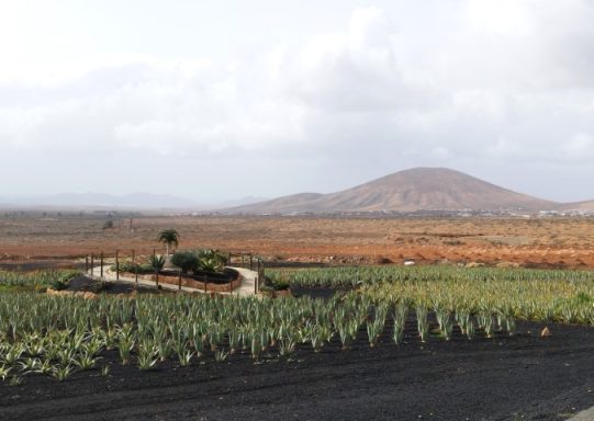 Fuerteventura