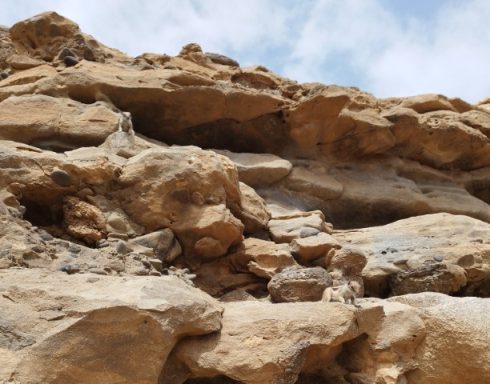 Fuerteventura