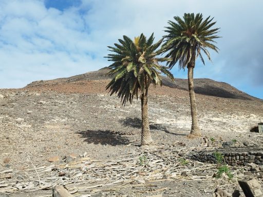 Fuerteventura