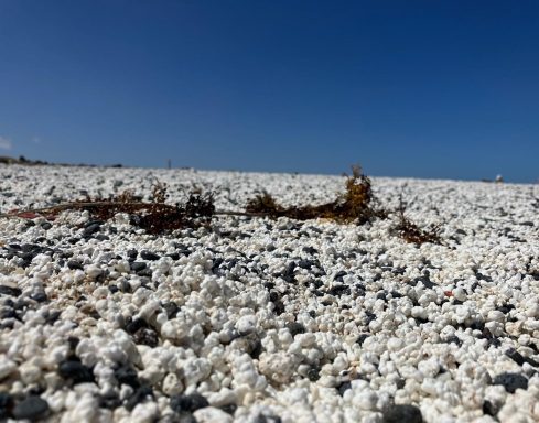 FUERTEVENTURA